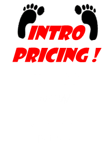 Tent Feet Anchor Turf